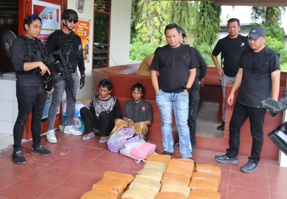 Dua tersangka ditangkap terkait kasus penyelundupan 74 kilogram ganja oleh jaringan lintas provinsi dari Kabupaten Mandailing Natal, Jakarta, di Kabupaten Pasaman Barat, Sumatera Barat, Indonesia, pada 16 Februari. | https://www.sindotrijayamandailingnatal.com/