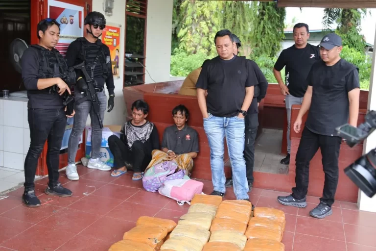 Dua tersangka ditangkap terkait kasus penyelundupan 74 kilogram ganja oleh jaringan lintas provinsi dari Kabupaten Mandailing Natal, Jakarta, di Kabupaten Pasaman Barat, Sumatera Barat, Indonesia, pada 16 Februari. | https://www.sindotrijayamandailingnatal.com/