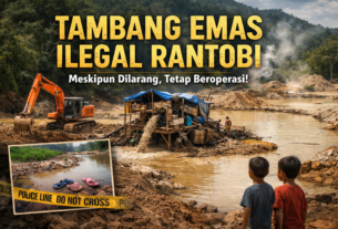 tambang emas ilegal Rantobi